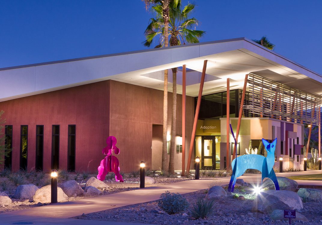 Swatt Miers Palm Springs Animal Facility Featured Image